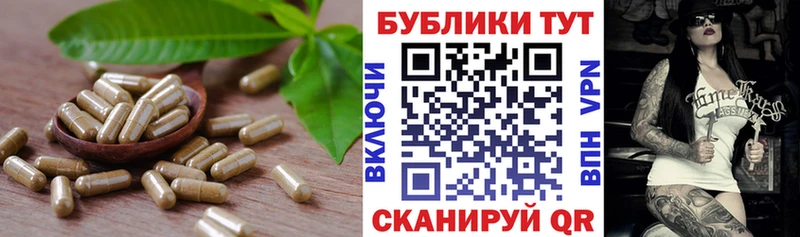 Ecstasy Philipp Plein  Купить  Пласт 