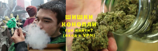 хмурый Бородино