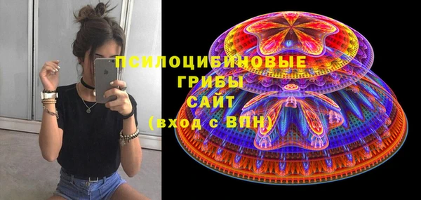 индика Бугульма