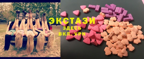 индика Бугульма