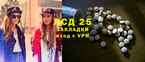 хмурый Бородино