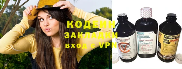 хмурый Бородино