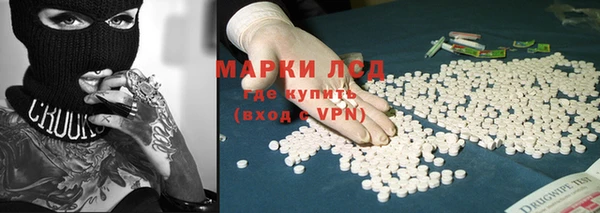 индика Бугульма