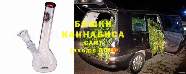 хмурый Бородино