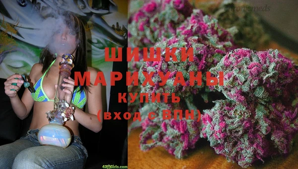 индика Бугульма