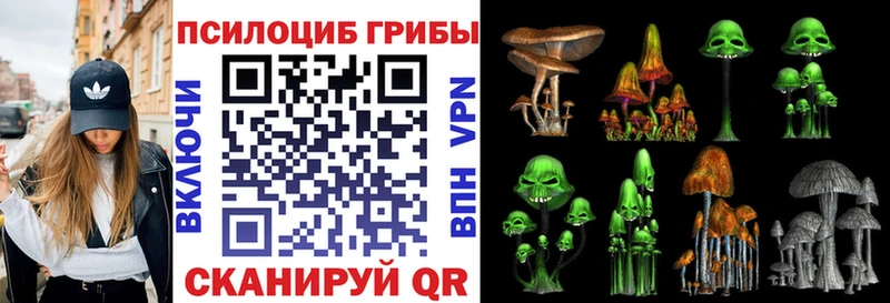 Галлюциногенные грибы MAGIC MUSHROOMS  Купить  Пласт 